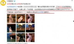 替身演员爆料视频大全集,揭秘影视幕后真相与幕后故事